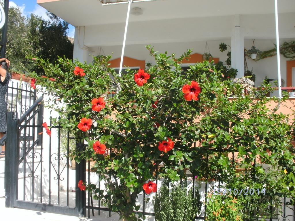 Xenos Apartments كيراتوكامبوس المظهر الخارجي الصورة
